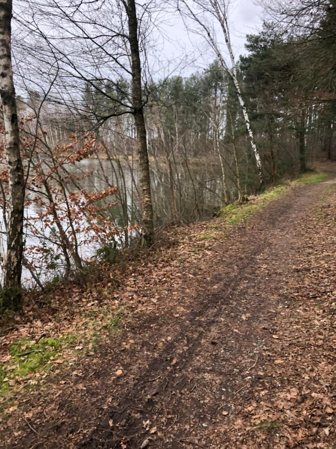 Vivere Aan de Wolfsberg Exteriör bild